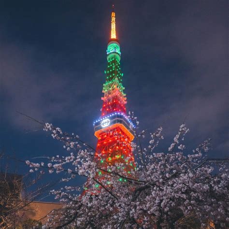 グッチが春のスタートを祝って東京タワーをライトアップ！期間 